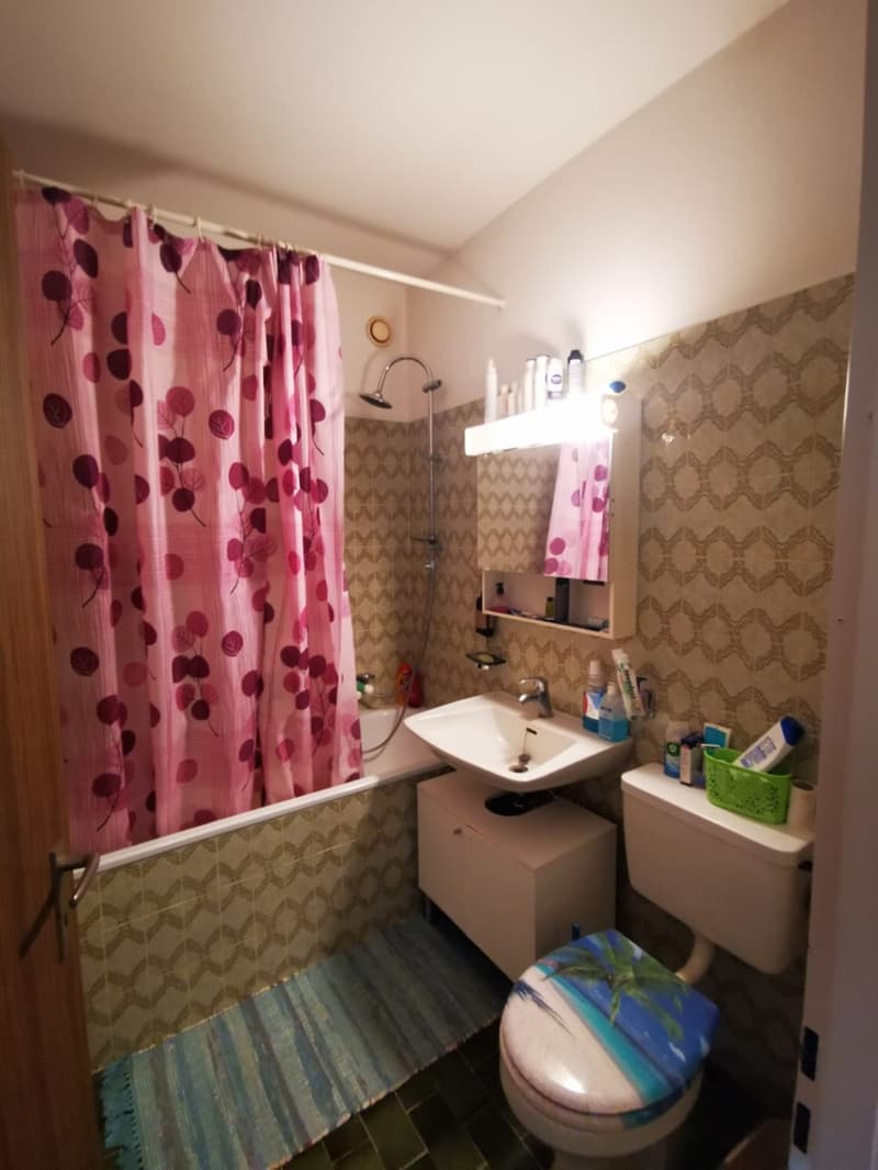 Bright 2.5-room apartment in Bellinzona (7)