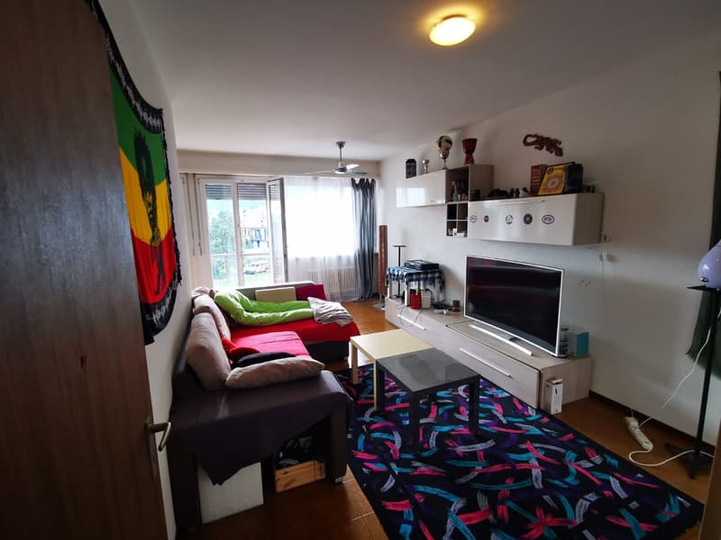 Bright 2.5-room apartment in Bellinzona (1)