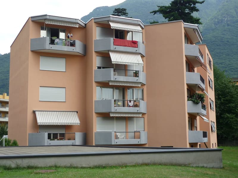 Bright 2.5-room apartment in Bellinzona (8)