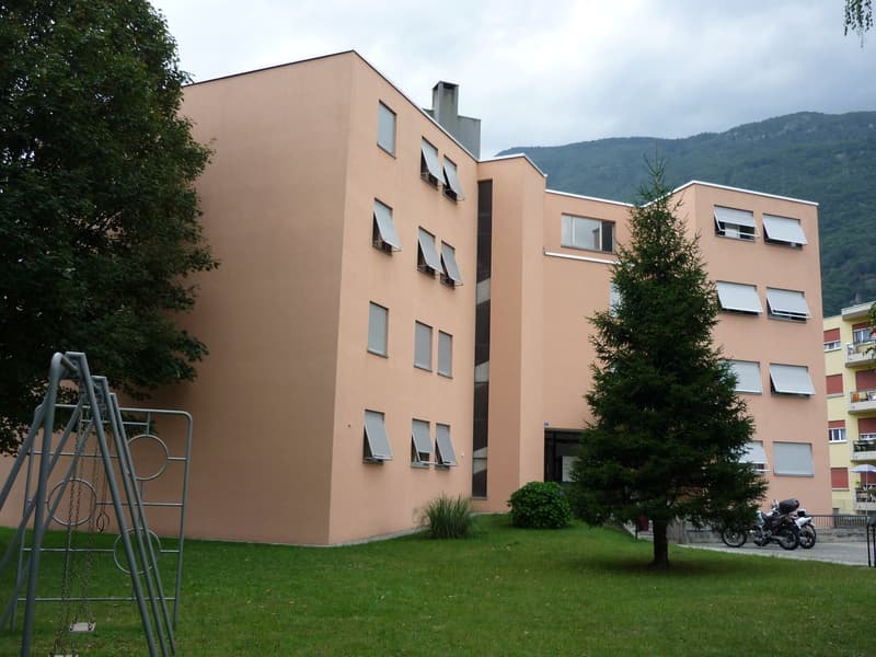 Bright 2.5-room apartment in Bellinzona (9)