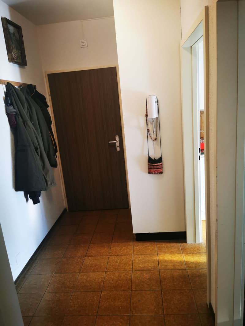 Bright 2.5-room apartment in Bellinzona (5)