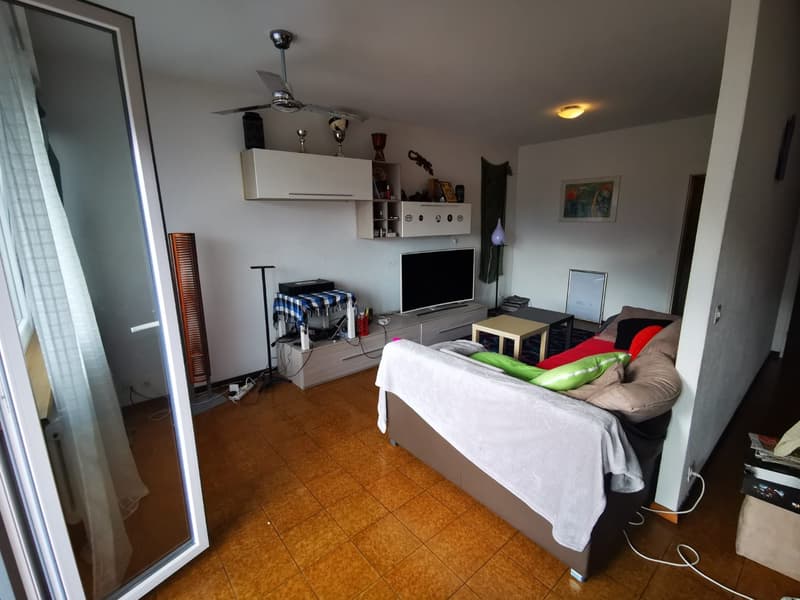 Bright 2.5-room apartment in Bellinzona (2)