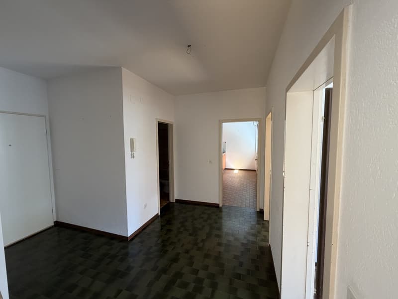 Luminoso appartamento di 3.5 locali a Bellinzona (3)