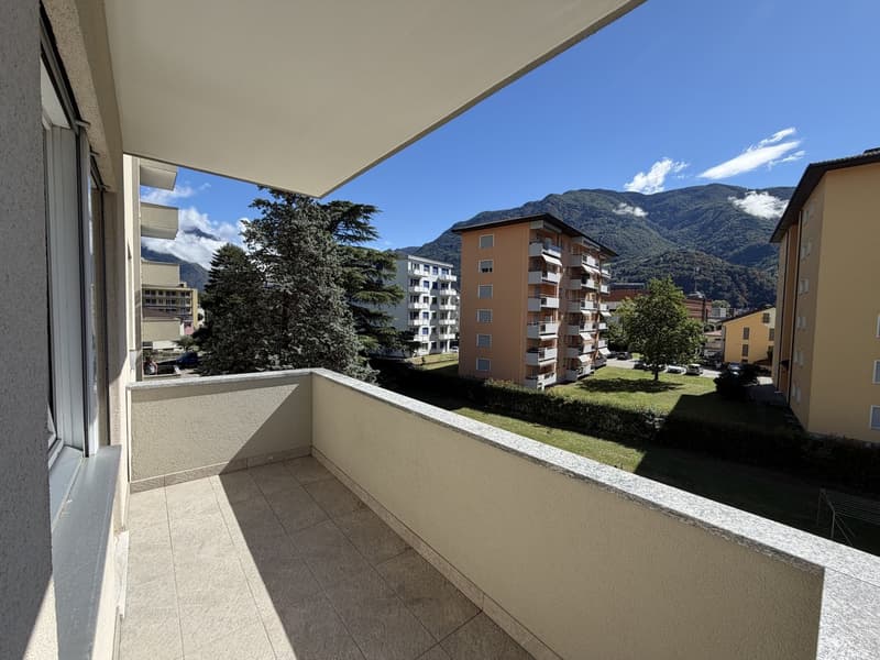 Luminoso appartamento di 3.5 locali a Bellinzona (8)