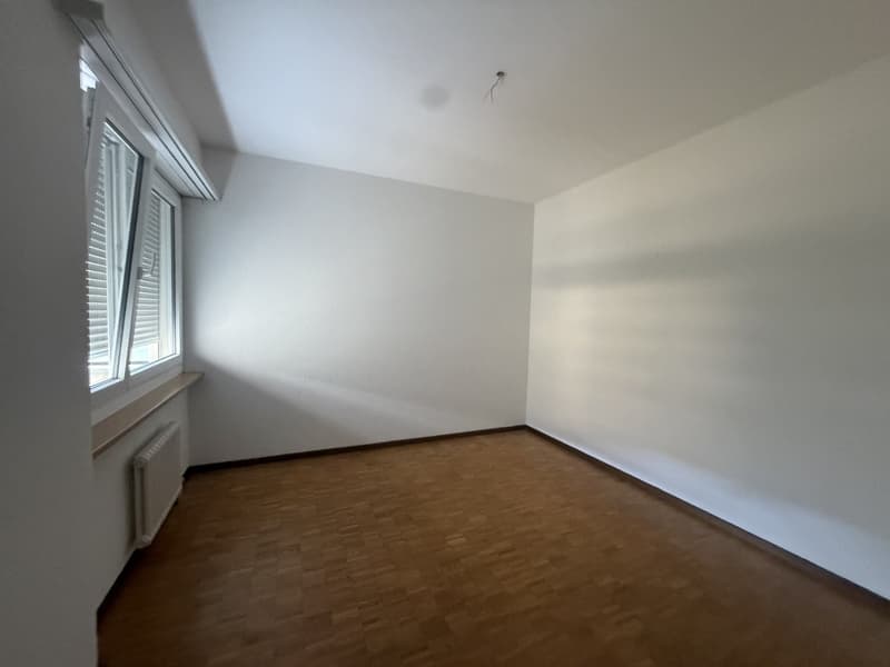 Luminoso appartamento di 3.5 locali a Bellinzona (7)