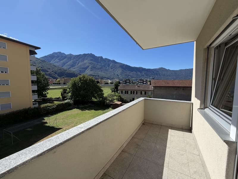 Luminoso appartamento di 3.5 locali a Bellinzona (1)