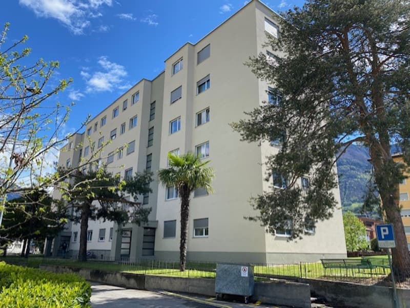 Luminoso appartamento di 3.5 locali a Bellinzona (10)