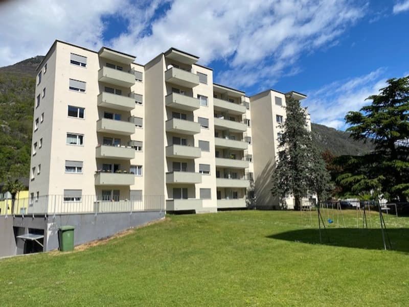 Luminoso appartamento di 3.5 locali a Bellinzona (9)