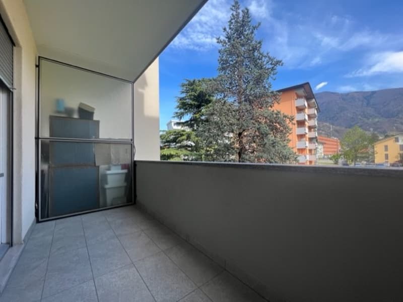 Luminoso 3.5 locali a Bellinzona (3)