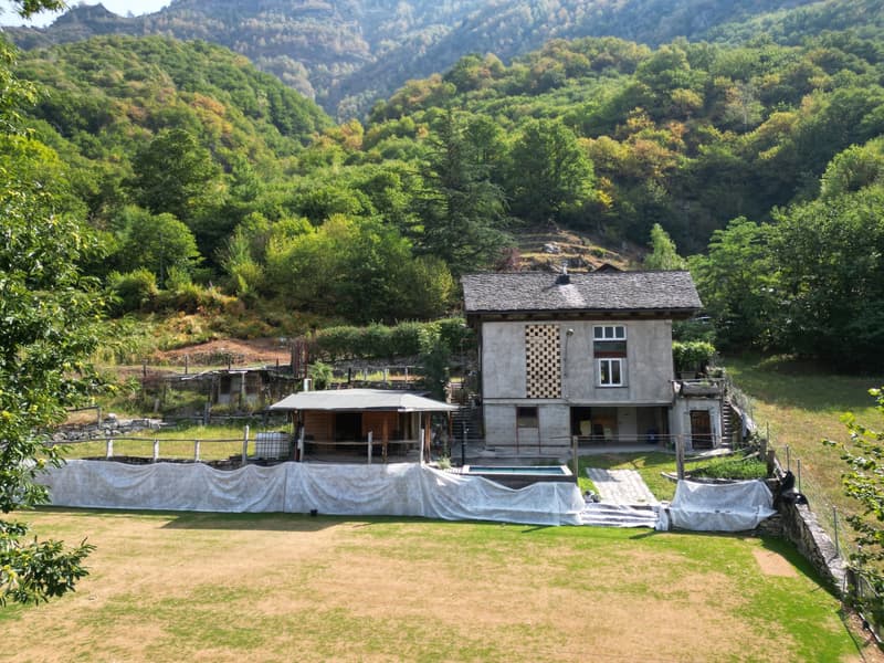 Spazio immerso nel verde - per lavoro, atelier e svago (6)