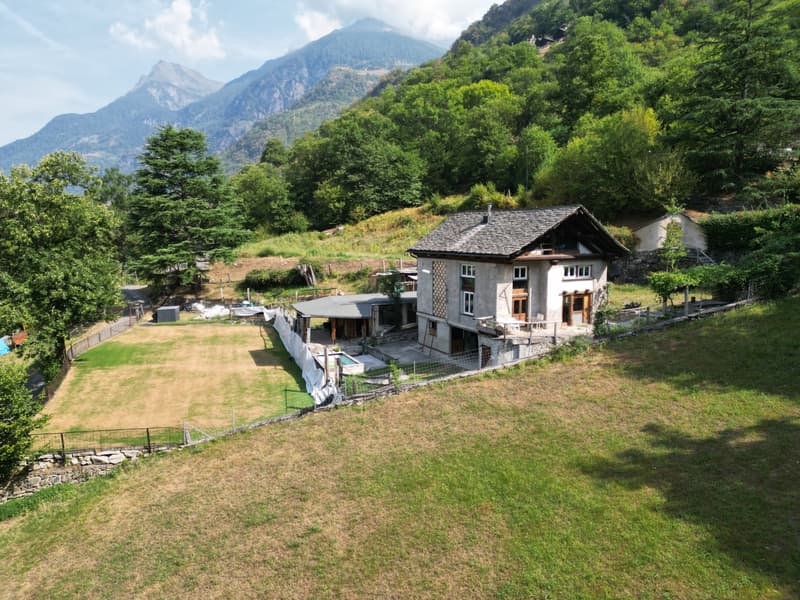 Spazio immerso nel verde - per lavoro, atelier e svago (2)