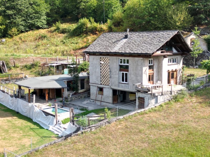 Spazio immerso nel verde - per lavoro, atelier e svago (1)