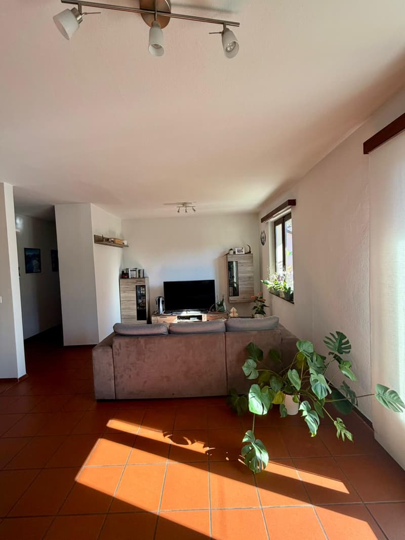 large living room, orange tiles, couch, TV, plants, window with a view, kitchen unit, cabinets