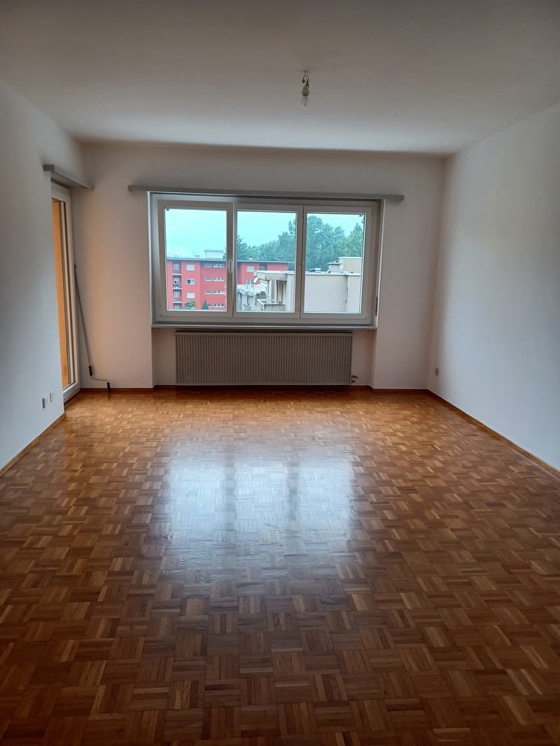 Appartement lumineux de 3.5 pièces à Arbedo-Castione (3)