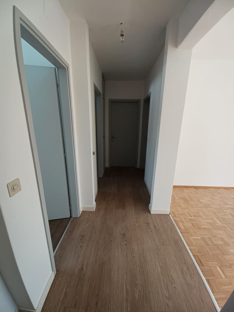 Appartement lumineux de 3.5 pièces à Arbedo-Castione (4)