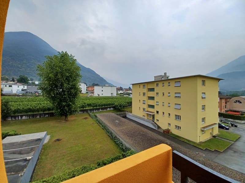 Appartement lumineux de 3.5 pièces à Arbedo-Castione (9)