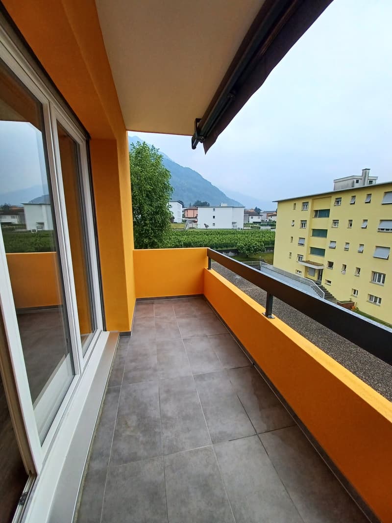 Appartement lumineux de 3.5 pièces à Arbedo-Castione (8)