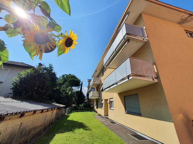 Locarno-Solduno - 3.5-Zimmer-Wohnung (1)