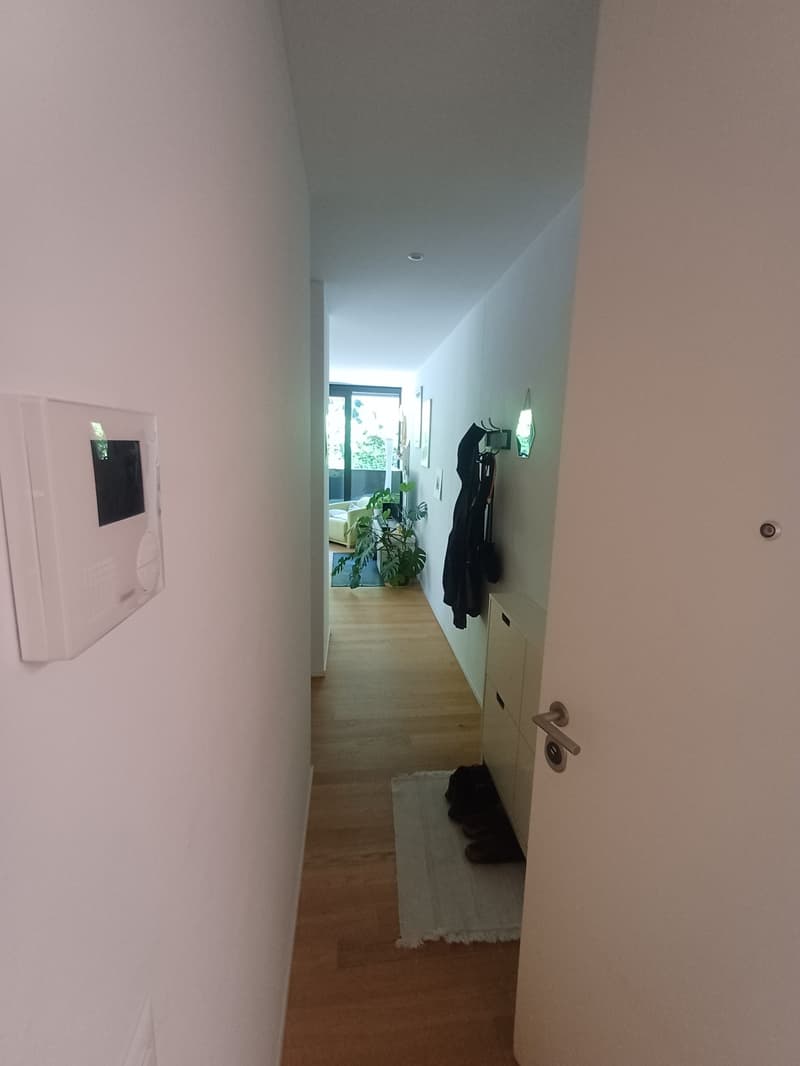 Bright 2-room apartment with balcony in Minusio (9)