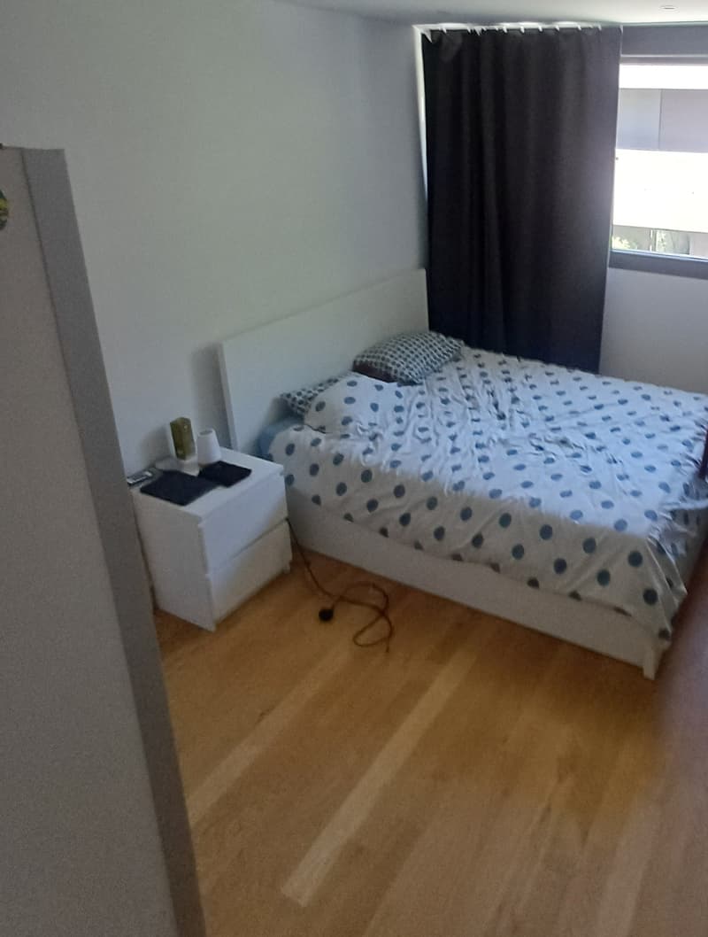 Bright 2-room apartment with balcony in Minusio (4)