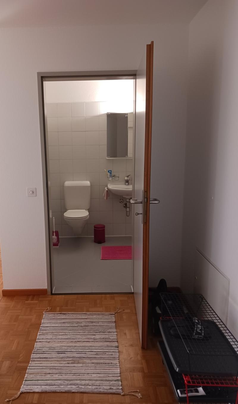 Accogliente appartamento di 2.5 locali a Locarno – Via della Pace (2)