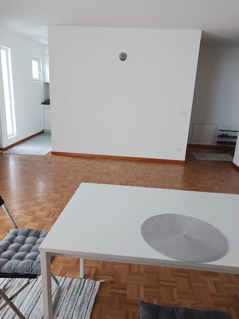 Accogliente appartamento di 2.5 locali a Locarno – Via della Pace (8)