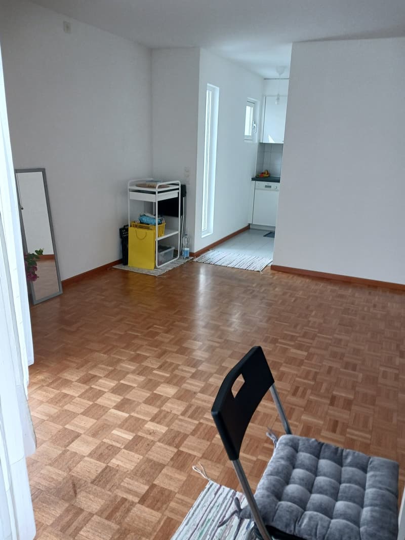 Accogliente appartamento di 2.5 locali a Locarno – Via della Pace (5)