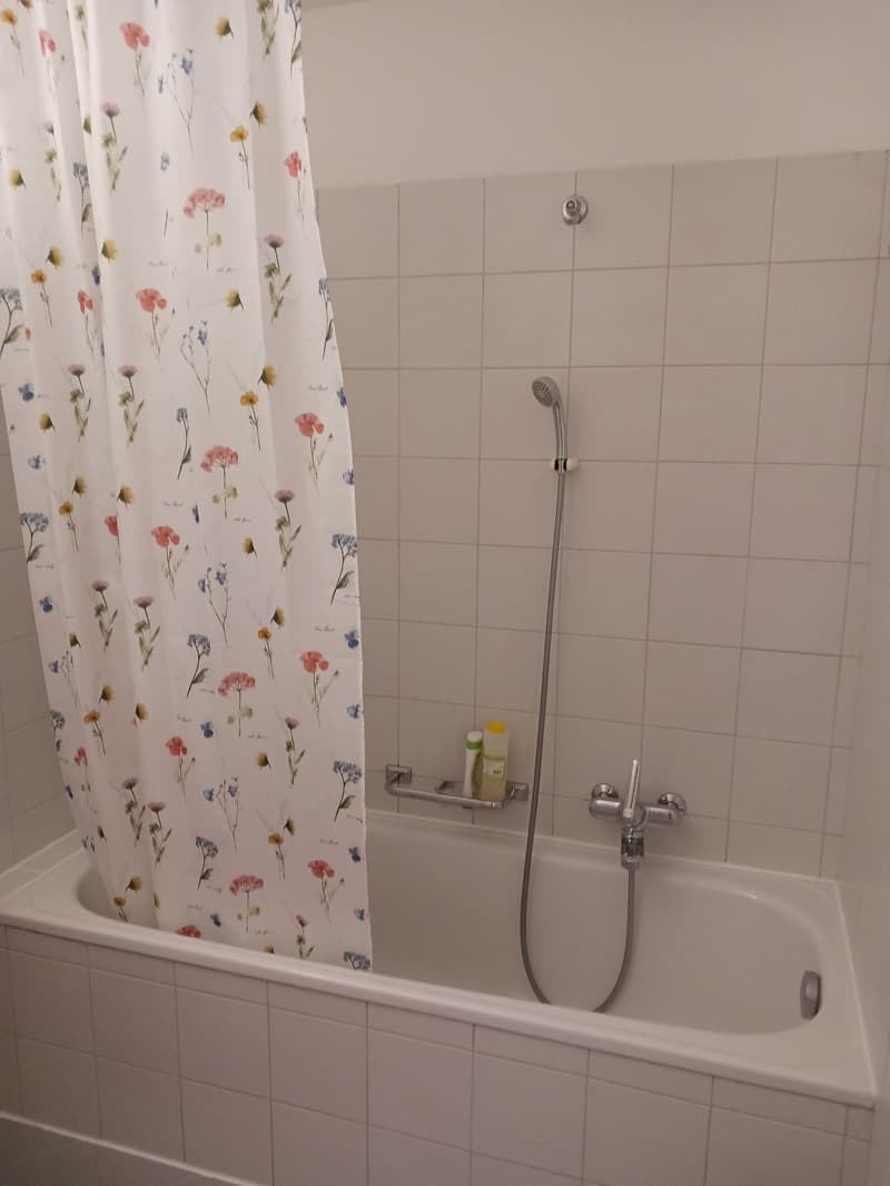 Accogliente appartamento di 2.5 locali a Locarno – Via della Pace (9)