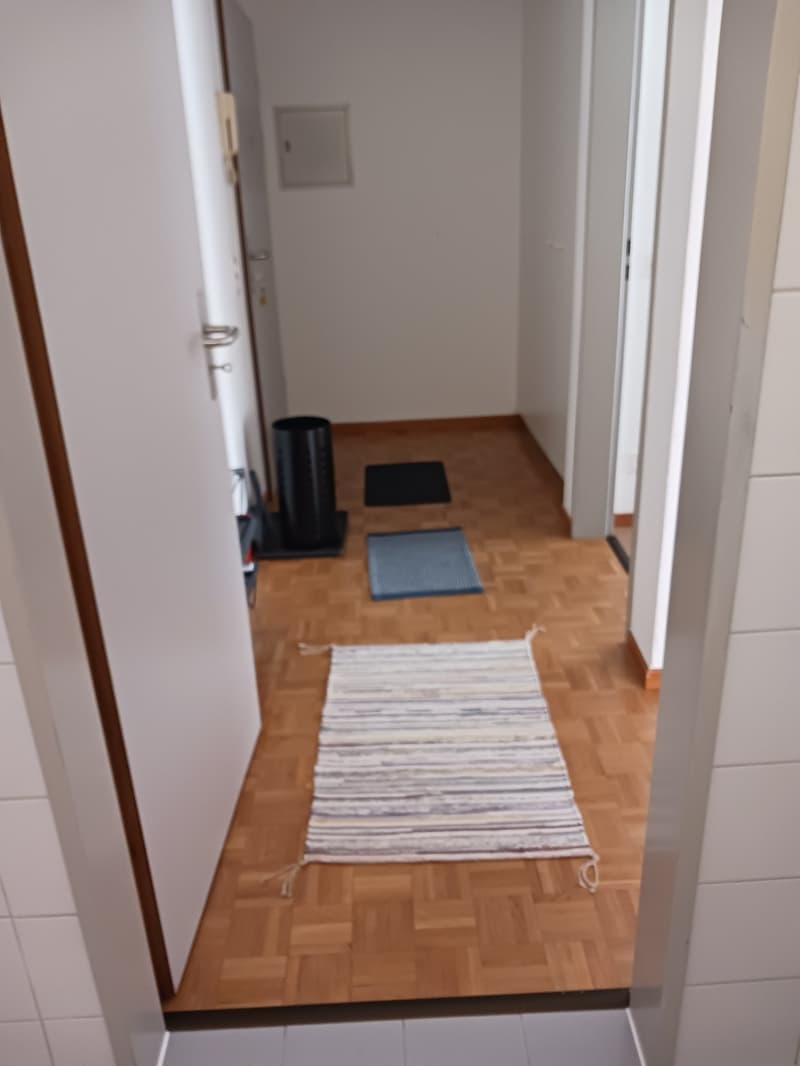 Accogliente appartamento di 2.5 locali a Locarno – Via della Pace (10)