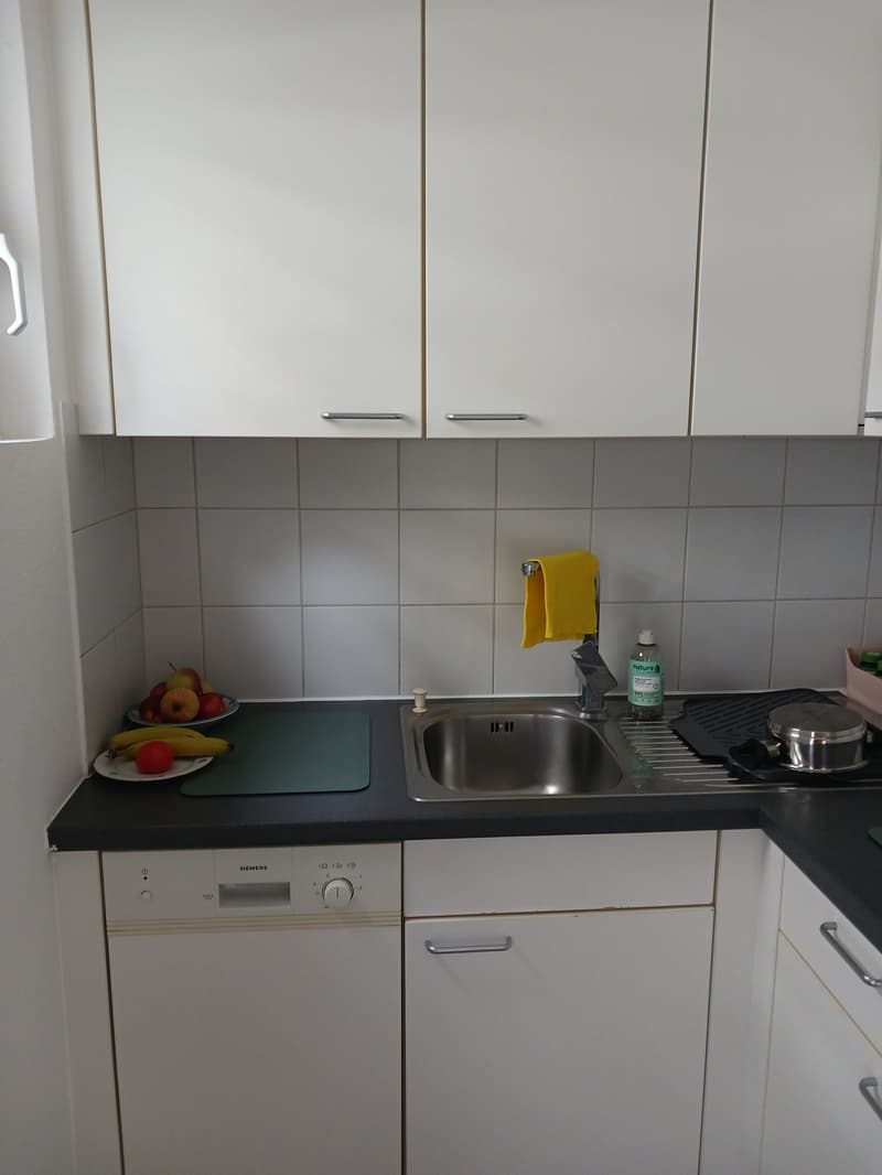 Accogliente appartamento di 2.5 locali a Locarno – Via della Pace (7)