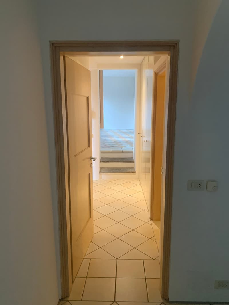 Minusio - Caratteristico rustico con corte interna (5)