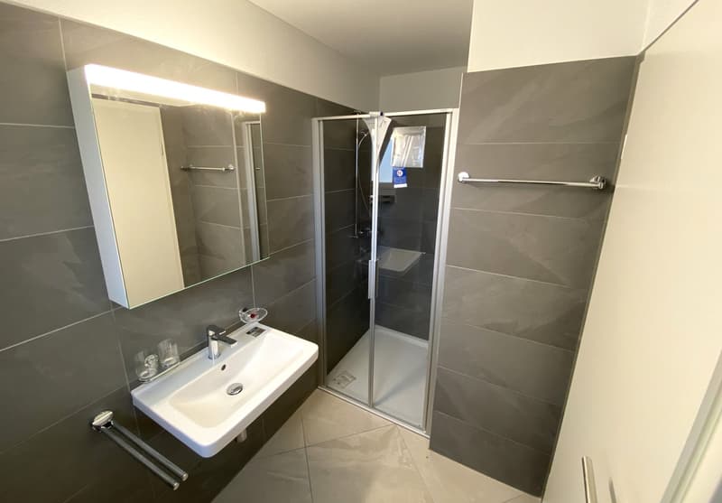 Casa unifamiliare - prima locazione (7)