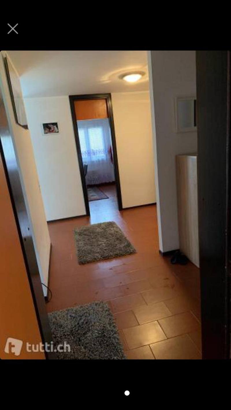 Hallway, carpets, wooden floor, white walls, white ceiling with a light, picture frames, closet, open door leading to a room with a rug and windows