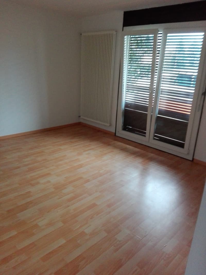 empty room, wooden floor, white walls, sliding glass door, white radiator