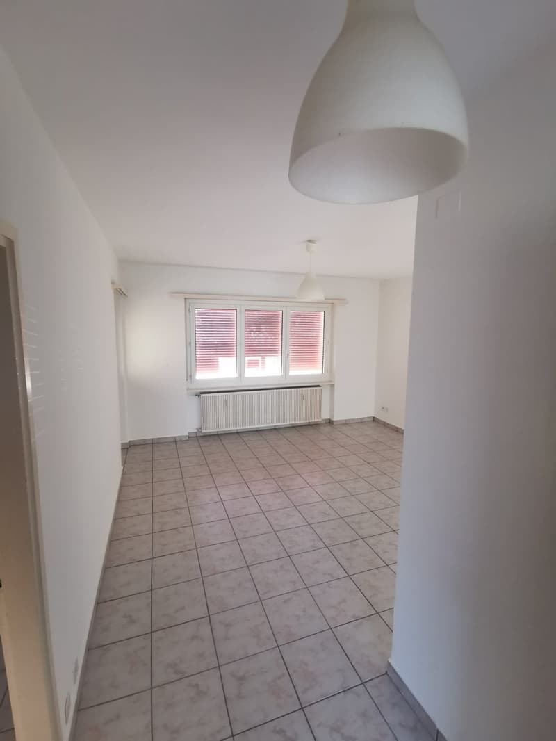 Bright 2-room apartment in Lumino, available immediately (5)