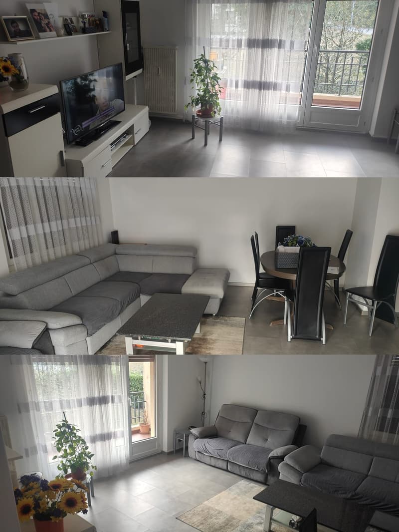 Helles Apartment mit 3 Zimmern in Lumino (5)