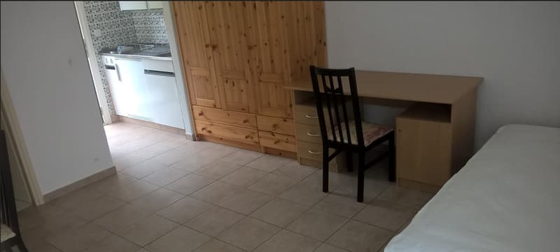 Accogliente appartamento ammobiliato di 1.5 locali nel cuore di Locarno (4)