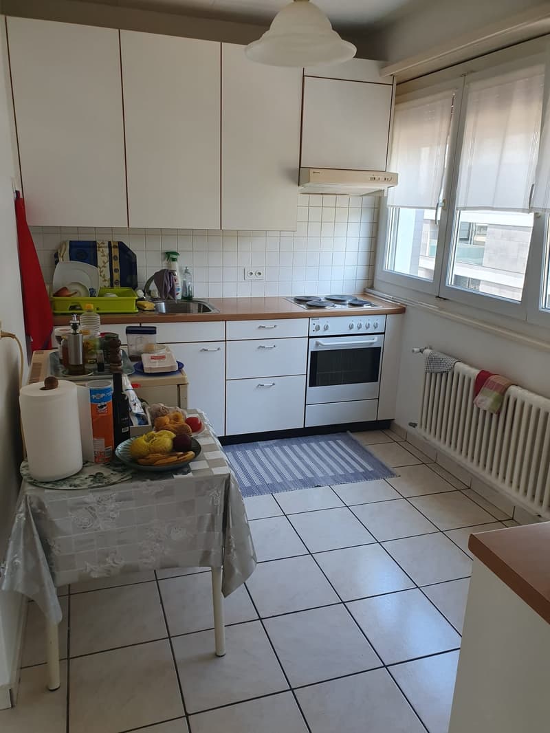 Appartement de 4 pièces avec balcon et vue panoramique à Paradiso (5)