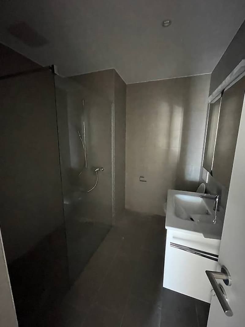 Apartment 3.5 rooms for sale - Bellinzona (5)