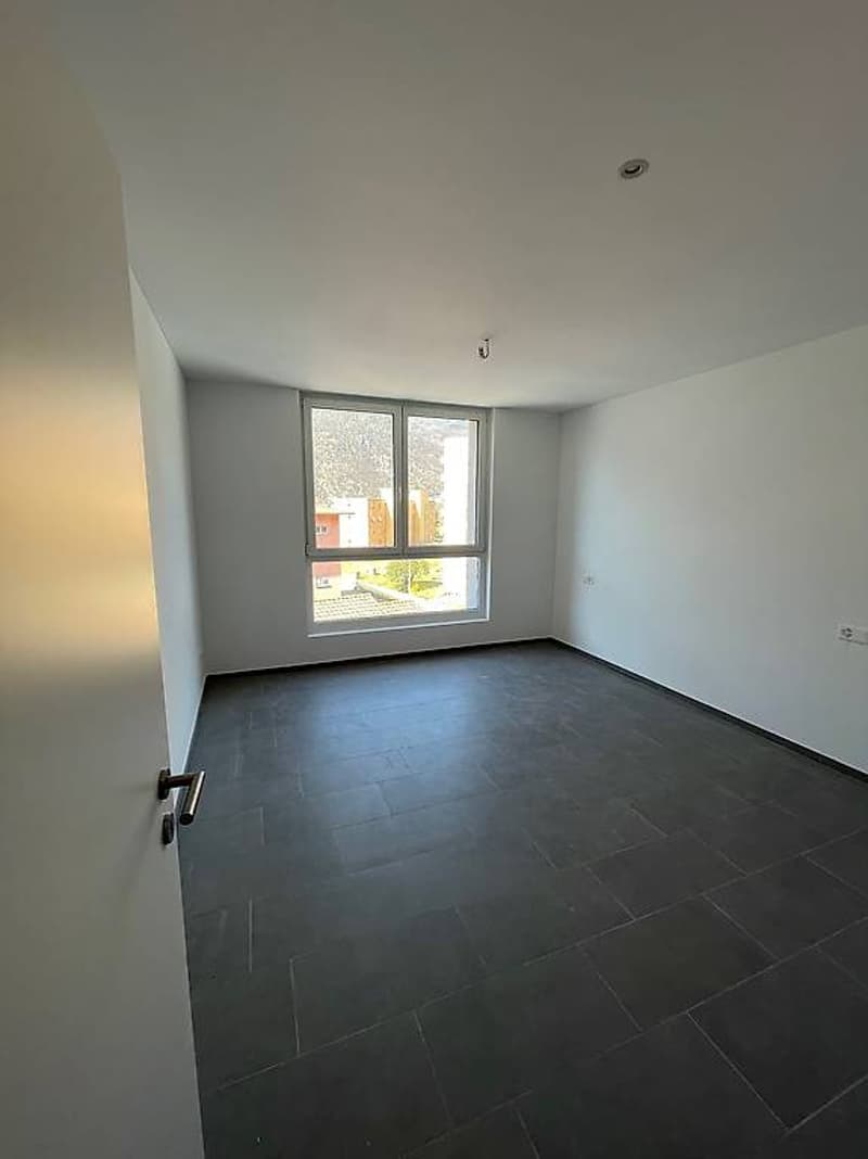 Apartment 3.5 rooms for sale - Bellinzona (3)