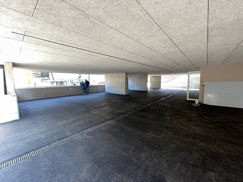 Apartment 3.5 rooms for sale - Bellinzona (7)