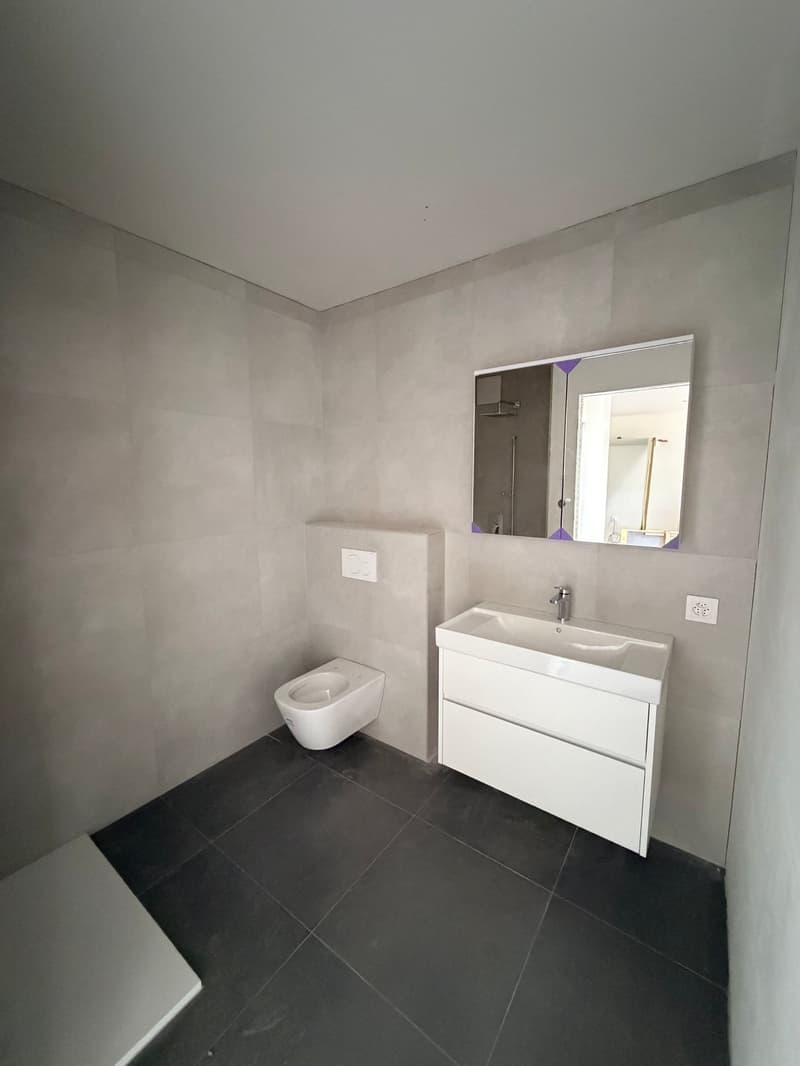 Rent new 2.5-room apartments - Res. Greta, Sementina (4)