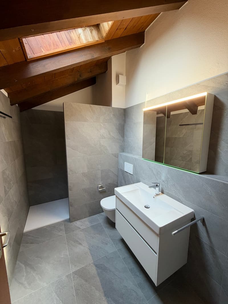 Duplex 3.5 locali con vista lago, anche residenza secondaria - Magadino (13)