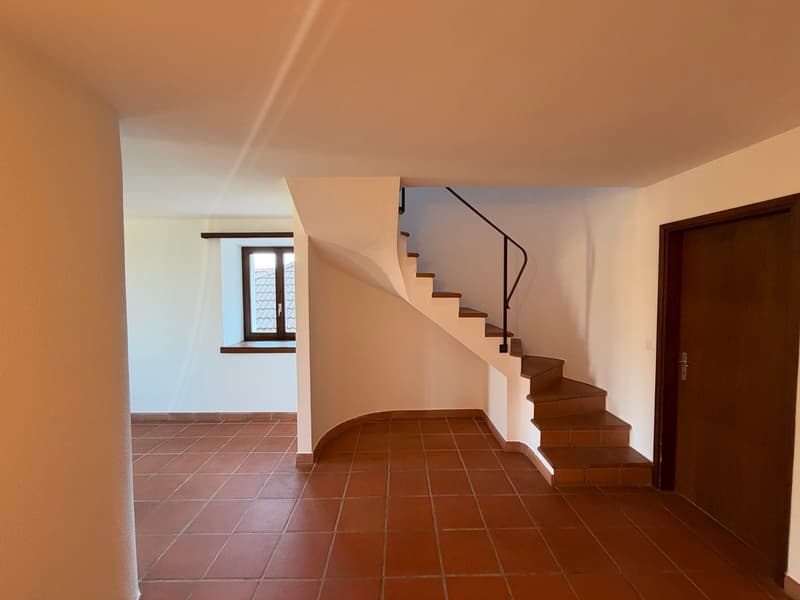 Duplex 3.5 locali con vista lago, anche residenza secondaria - Magadino (5)