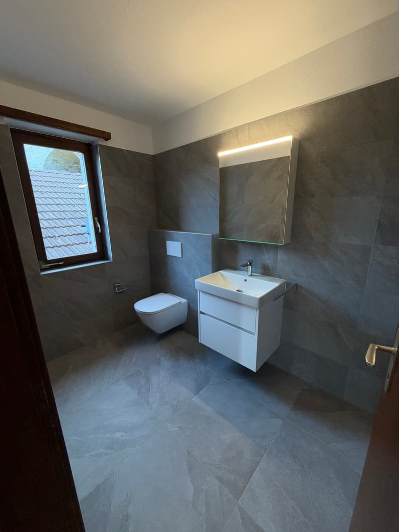 Duplex 3.5 locali con vista lago, anche residenza secondaria - Magadino (10)