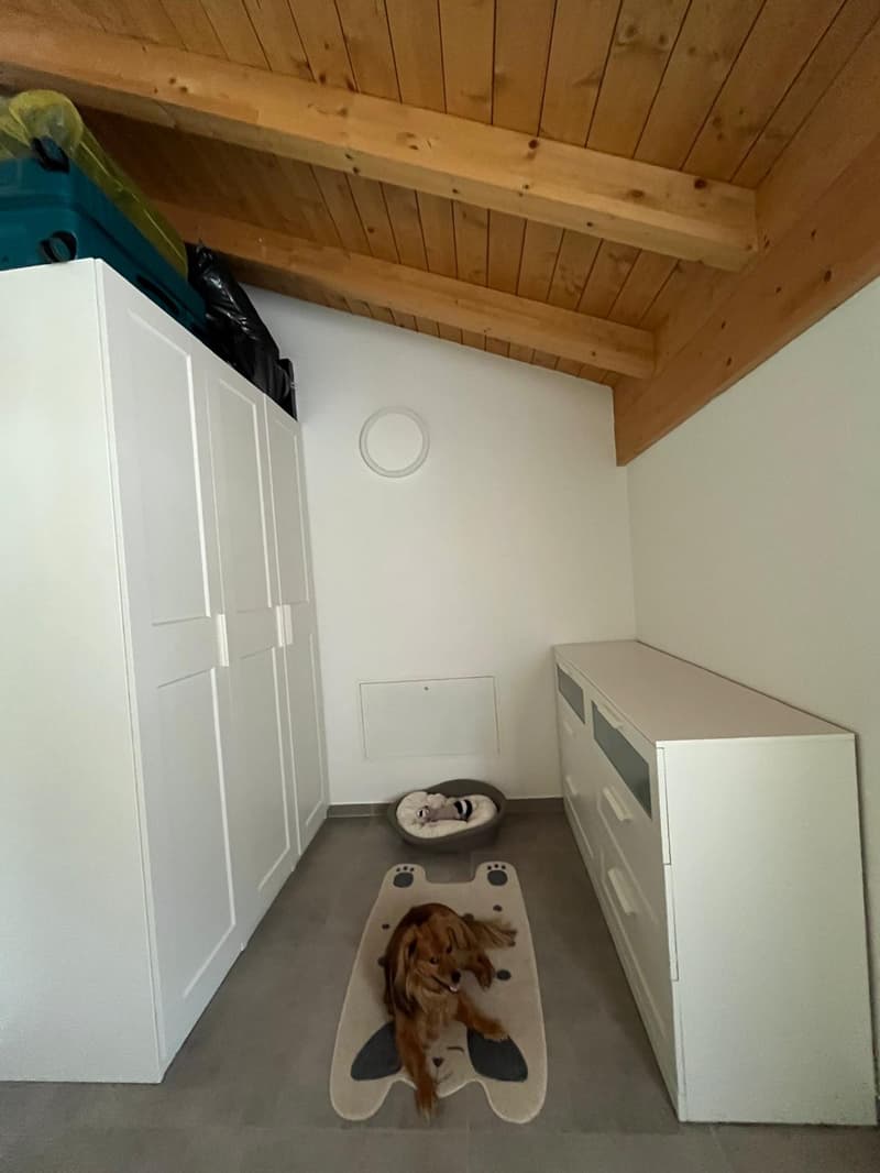 Moderne Villa in Maggia – 4,5 Zimmer mit Aussicht und Garten (8)