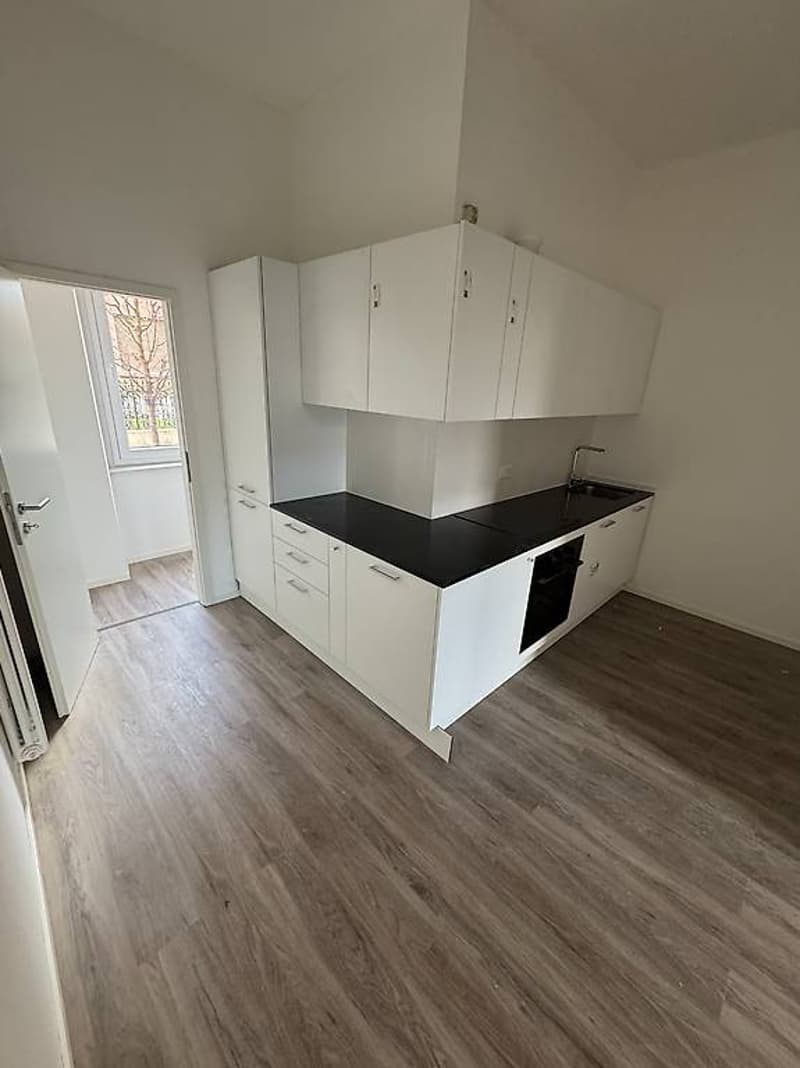 Rent 3.5 rooms in Chiasso (10)