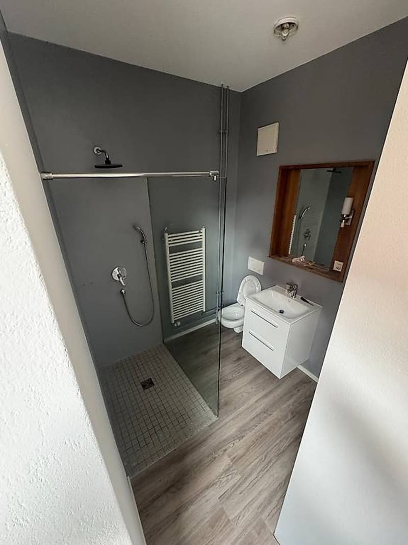Rent 3.5 rooms in Chiasso (9)