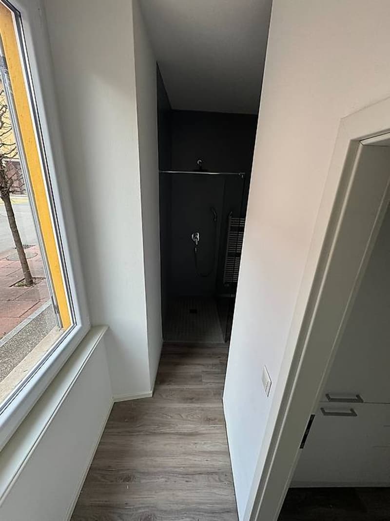Rent 3.5 rooms in Chiasso (6)