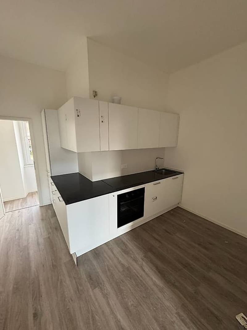 Rent 3.5 rooms in Chiasso (11)